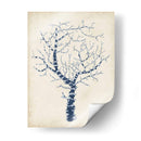 Indigo Coral Ii - Vision Studio | Cuadro decorativo de Canvas Lab