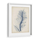 Índigo Coral V - Vision Studio | Cuadro decorativo de Canvas Lab