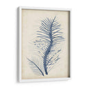 Índigo Coral V - Vision Studio | Cuadro decorativo de Canvas Lab