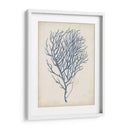 Índigo Coral Vi - Vision Studio | Cuadro decorativo de Canvas Lab