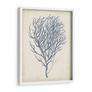 Índigo Coral Vi - Vision Studio | Cuadro decorativo de Canvas Lab