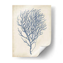 Índigo Coral Vi - Vision Studio | Cuadro decorativo de Canvas Lab