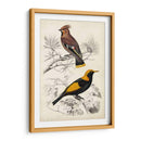 Dorbigny Birds V - M. Charles D Orbigny | Cuadro decorativo de Canvas Lab