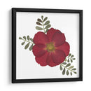 Red Rose - Designs by Andrea | Cuadro decorativo de Canvas Lab