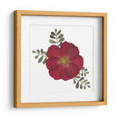 Red Rose - Designs by Andrea | Cuadro decorativo de Canvas Lab