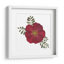 Red Rose - Designs by Andrea | Cuadro decorativo de Canvas Lab