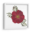 Red Rose - Designs by Andrea | Cuadro decorativo de Canvas Lab