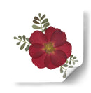 Red Rose - Designs by Andrea | Cuadro decorativo de Canvas Lab
