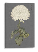 Mamá De Marfil Dramático I - Vision Studio | Cuadro decorativo de Canvas Lab