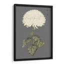 Mamá De Marfil Dramático I - Vision Studio | Cuadro decorativo de Canvas Lab