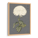 Mamá De Marfil Dramático I - Vision Studio | Cuadro decorativo de Canvas Lab