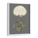 Mamá De Marfil Dramático I - Vision Studio | Cuadro decorativo de Canvas Lab