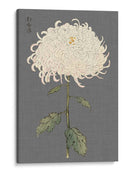 Mamoras Dramáticas Ii Ii - Vision Studio | Cuadro decorativo de Canvas Lab