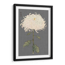 Mamoras Dramáticas Ii Ii - Vision Studio | Cuadro decorativo de Canvas Lab