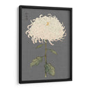 Mamoras Dramáticas Ii Ii - Vision Studio | Cuadro decorativo de Canvas Lab