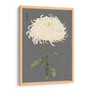 Mamoras Dramáticas Ii Ii - Vision Studio | Cuadro decorativo de Canvas Lab