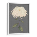 Mamoras Dramáticas Ii Ii - Vision Studio | Cuadro decorativo de Canvas Lab