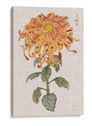 Mamá Vibrantes I - Vision Studio | Cuadro decorativo de Canvas Lab