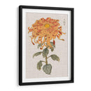 Mamá Vibrantes I - Vision Studio | Cuadro decorativo de Canvas Lab