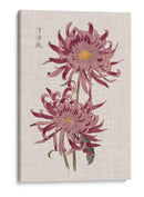 Mamás Vibrantes Ii - Vision Studio | Cuadro decorativo de Canvas Lab