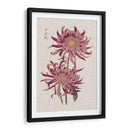 Mamás Vibrantes Ii - Vision Studio | Cuadro decorativo de Canvas Lab