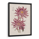 Mamás Vibrantes Ii - Vision Studio | Cuadro decorativo de Canvas Lab