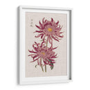 Mamás Vibrantes Ii - Vision Studio | Cuadro decorativo de Canvas Lab