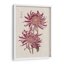 Mamás Vibrantes Ii - Vision Studio | Cuadro decorativo de Canvas Lab