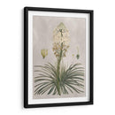 Variedades Tropicales Iii - Pancrace Bessa | Cuadro decorativo de Canvas Lab