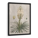 Variedades Tropicales Iii - Pancrace Bessa | Cuadro decorativo de Canvas Lab