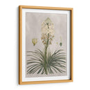 Variedades Tropicales Iii - Pancrace Bessa | Cuadro decorativo de Canvas Lab