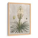 Variedades Tropicales Iii - Pancrace Bessa | Cuadro decorativo de Canvas Lab