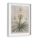 Variedades Tropicales Iii - Pancrace Bessa | Cuadro decorativo de Canvas Lab