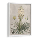 Variedades Tropicales Iii - Pancrace Bessa | Cuadro decorativo de Canvas Lab