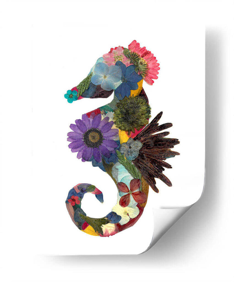 Seahorse - Designs by Andrea | Cuadro decorativo de Canvas Lab
