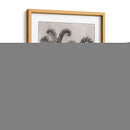Blossfeldt Botanical Ii - Karl Blossfeldt | Cuadro decorativo de Canvas Lab