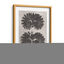 Blosfeldt Botanical V - Karl Blossfeldt | Cuadro decorativo de Canvas Lab