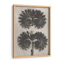 Blosfeldt Botanical V - Karl Blossfeldt | Cuadro decorativo de Canvas Lab