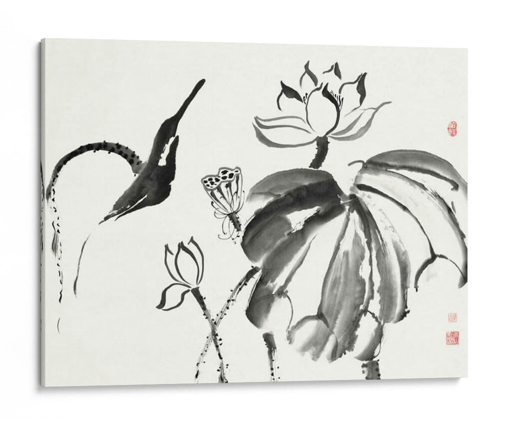 Estudio De Loto I - Nan Rae | Cuadro decorativo de Canvas Lab