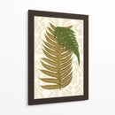 Helechos De Jardín Ii - Vision Studio | Cuadro decorativo de Canvas Lab