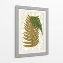 Helechos De Jardín Ii - Vision Studio | Cuadro decorativo de Canvas Lab