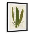 Helechos De Jardín Vi - Vision Studio | Cuadro decorativo de Canvas Lab