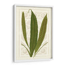 Helechos De Jardín Vi - Vision Studio | Cuadro decorativo de Canvas Lab