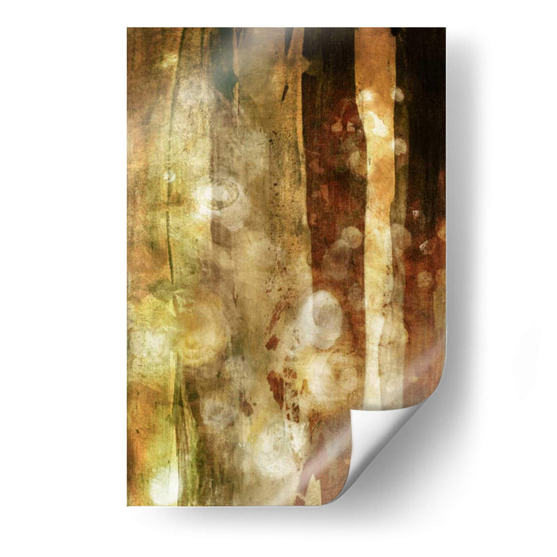 Golden Glow Ii - Sisa Jasper | Cuadro decorativo de Canvas Lab