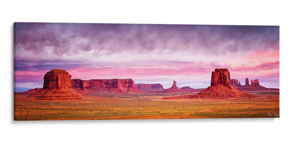 Gloria De La Mañana Rosa V - David Drost | Cuadro decorativo de Canvas Lab