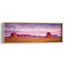 Gloria De La Mañana Rosa V - David Drost | Cuadro decorativo de Canvas Lab