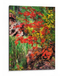 Maderas Tranquilas I - David Drost | Cuadro decorativo de Canvas Lab