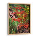 Maderas Tranquilas I - David Drost | Cuadro decorativo de Canvas Lab