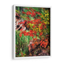 Maderas Tranquilas I - David Drost | Cuadro decorativo de Canvas Lab