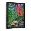 Maderas Tranquilas Ii - David Drost | Cuadro decorativo de Canvas Lab